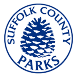 Suffolk County Park Logo featuring a pine cone